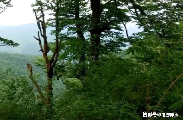 【无偿献血科普知识】（36）为什么献血前一定要看有效身份证件？